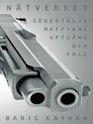 cover image of Nätverket